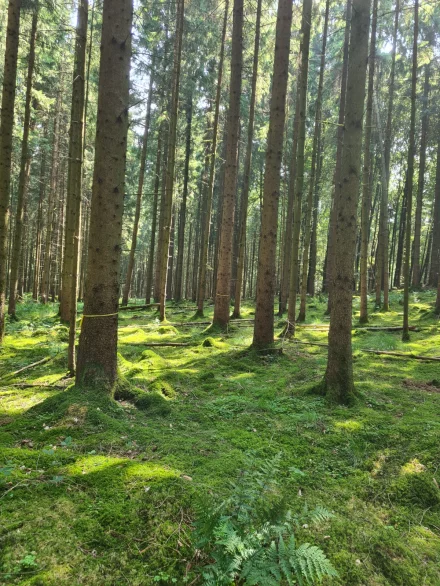 Klangschale